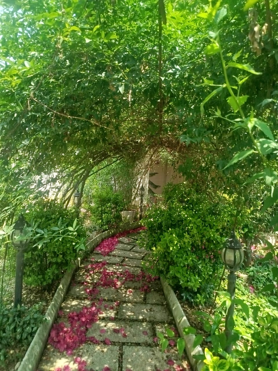 photo_front
