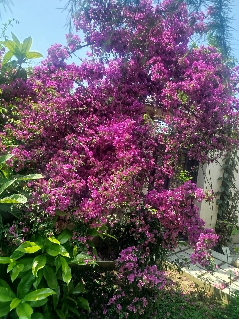 photo_front